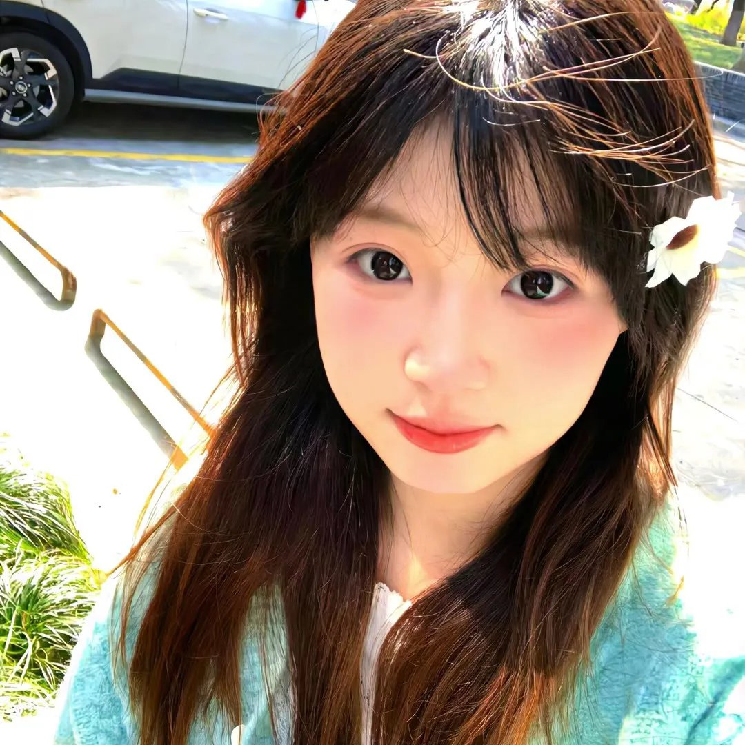 阿蒙与橡树